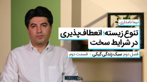 مدریکتاکس ۱۲  نیما نامداری؛ ت...