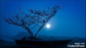 کلیپ غمگین ولی آرامبخش کلیپ ان...