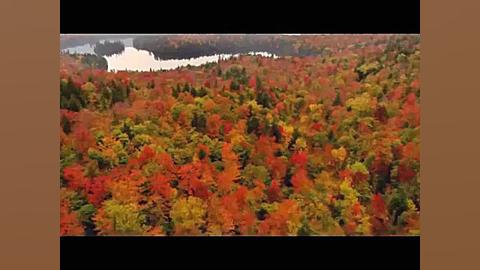 کلیپـ ماه رمضان رمضان قطعی ازب...