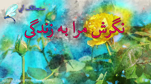 تبریک روز معلم  کلیپ تبریک روز...