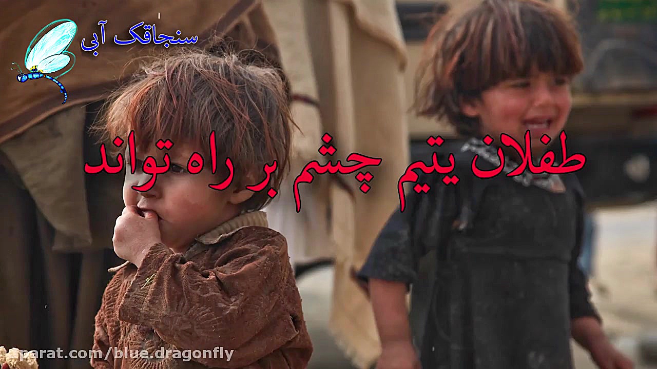 کلیپ شب قدر  توسل به امام علی...