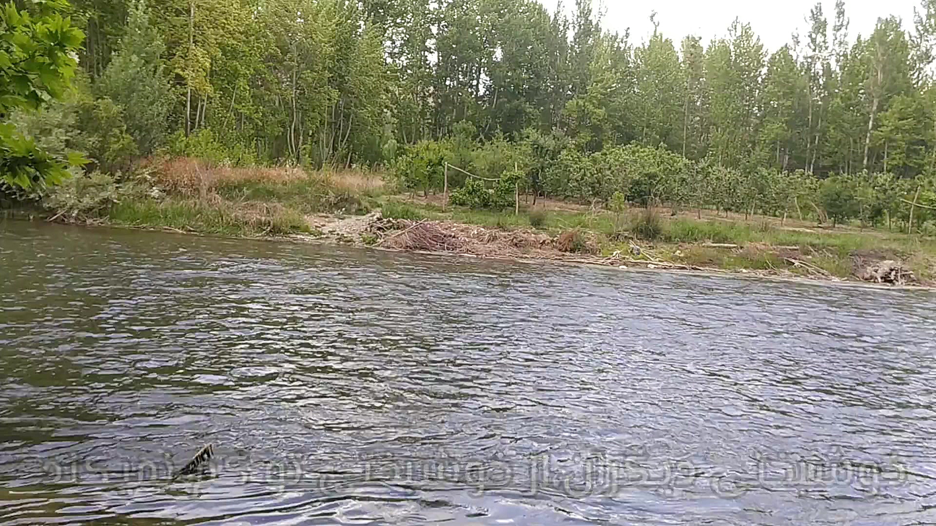 صبح بخیر انگیزشی ،انرژی مثبت،ک...