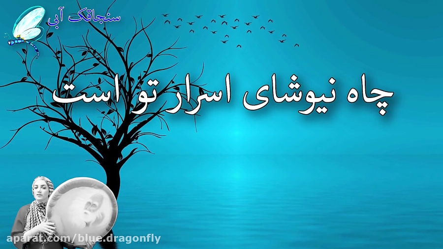 کلیپ شب قدر  توسل به حضرت علی...