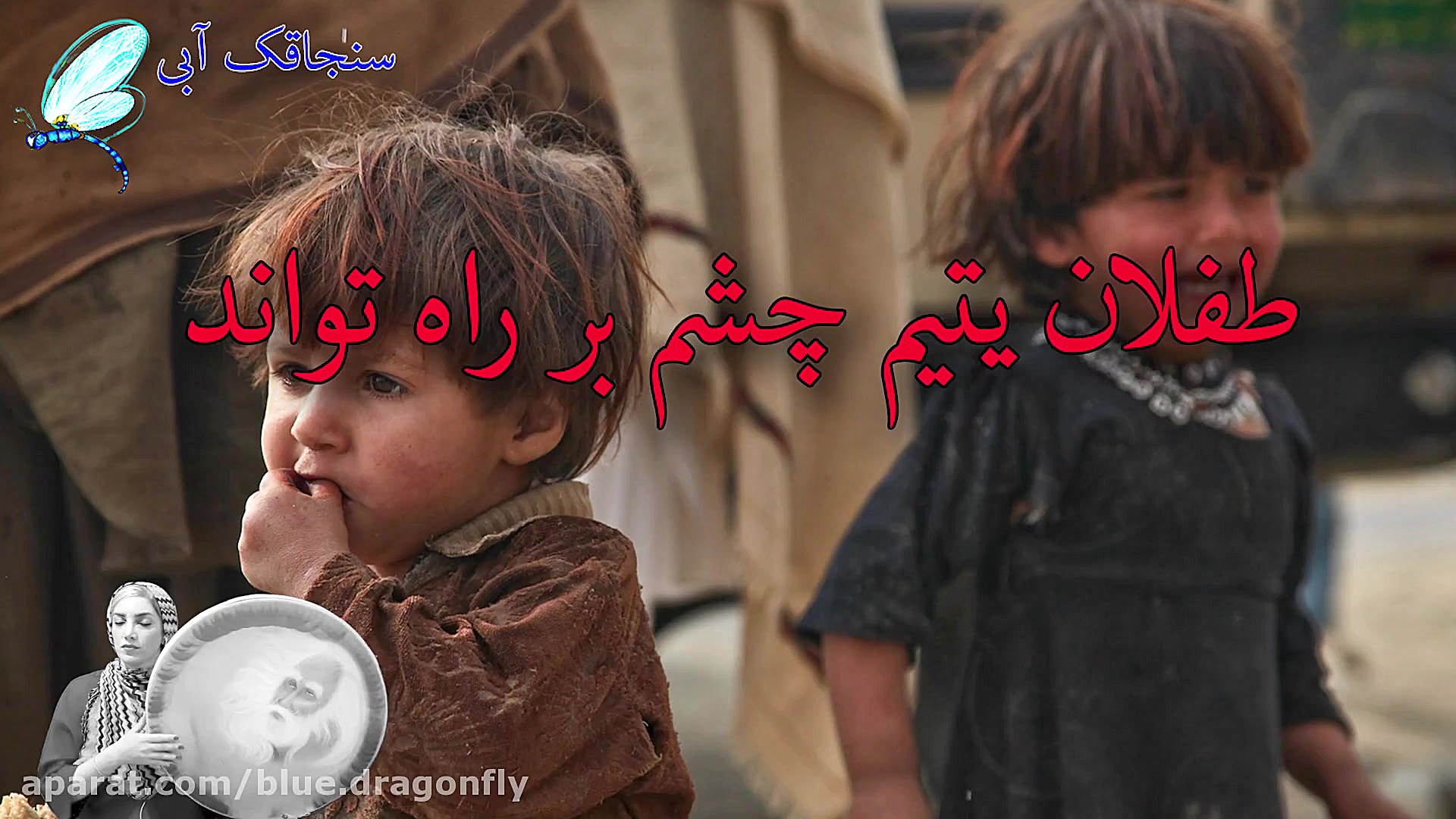 کلیپ شب قدر  توسل به حضرت علی...