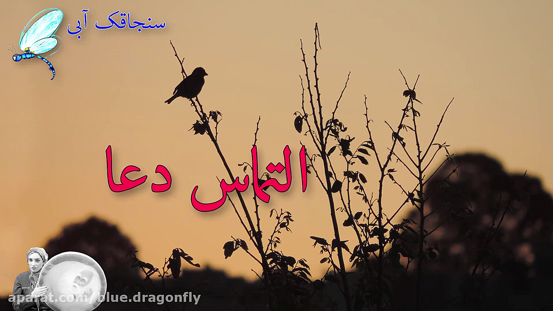 کلیپ شب قدر  دعای شب قدر  مناج...