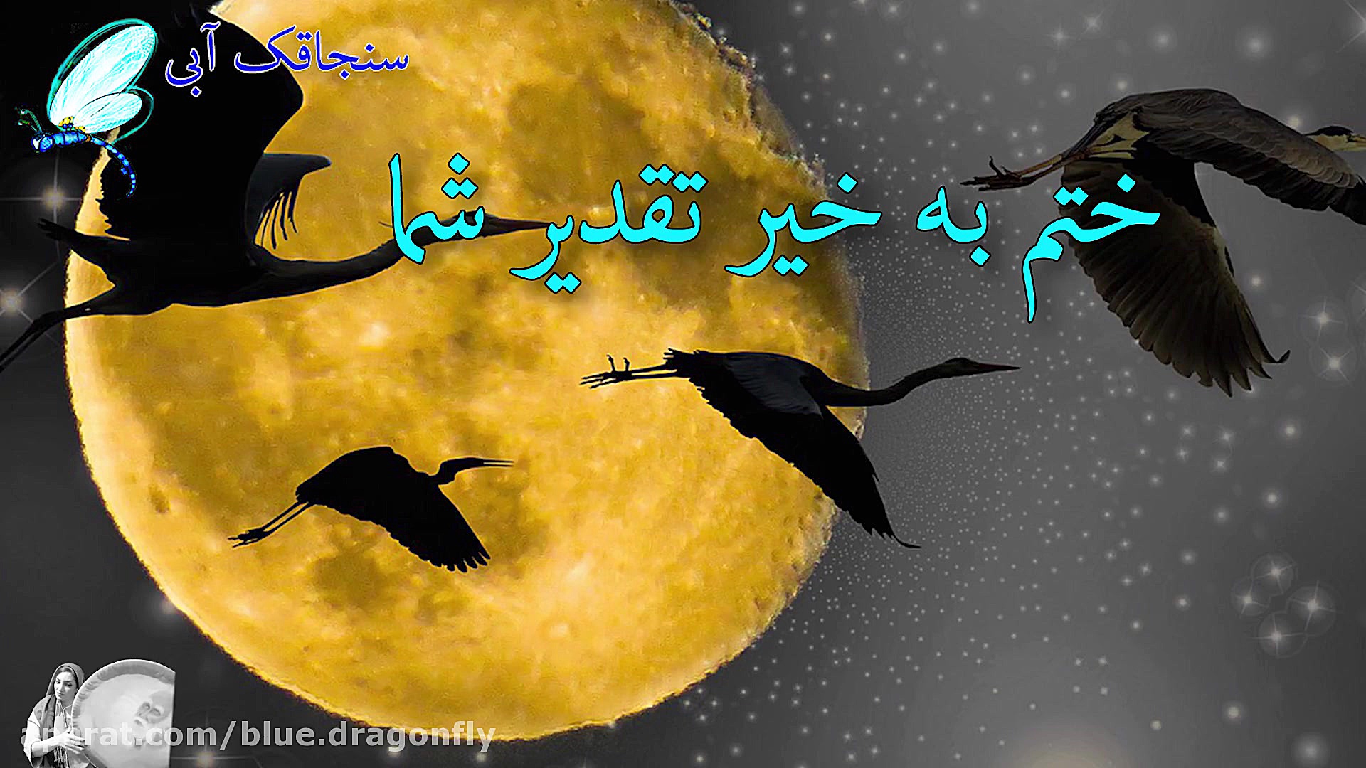 کلیپ شب قدر  التماس دعا ماه رم...