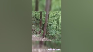 حاج خانوم تابت میدم استاد علیر...
