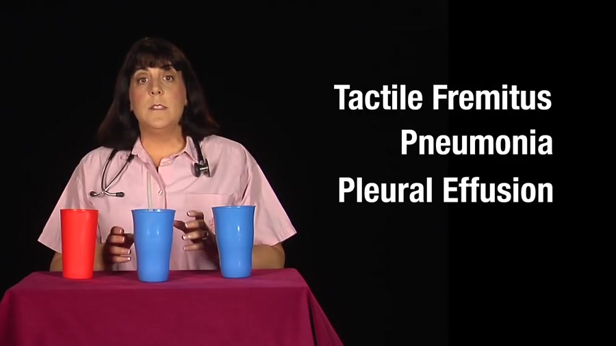 Tactile Fremitus_ Cups Demonstration