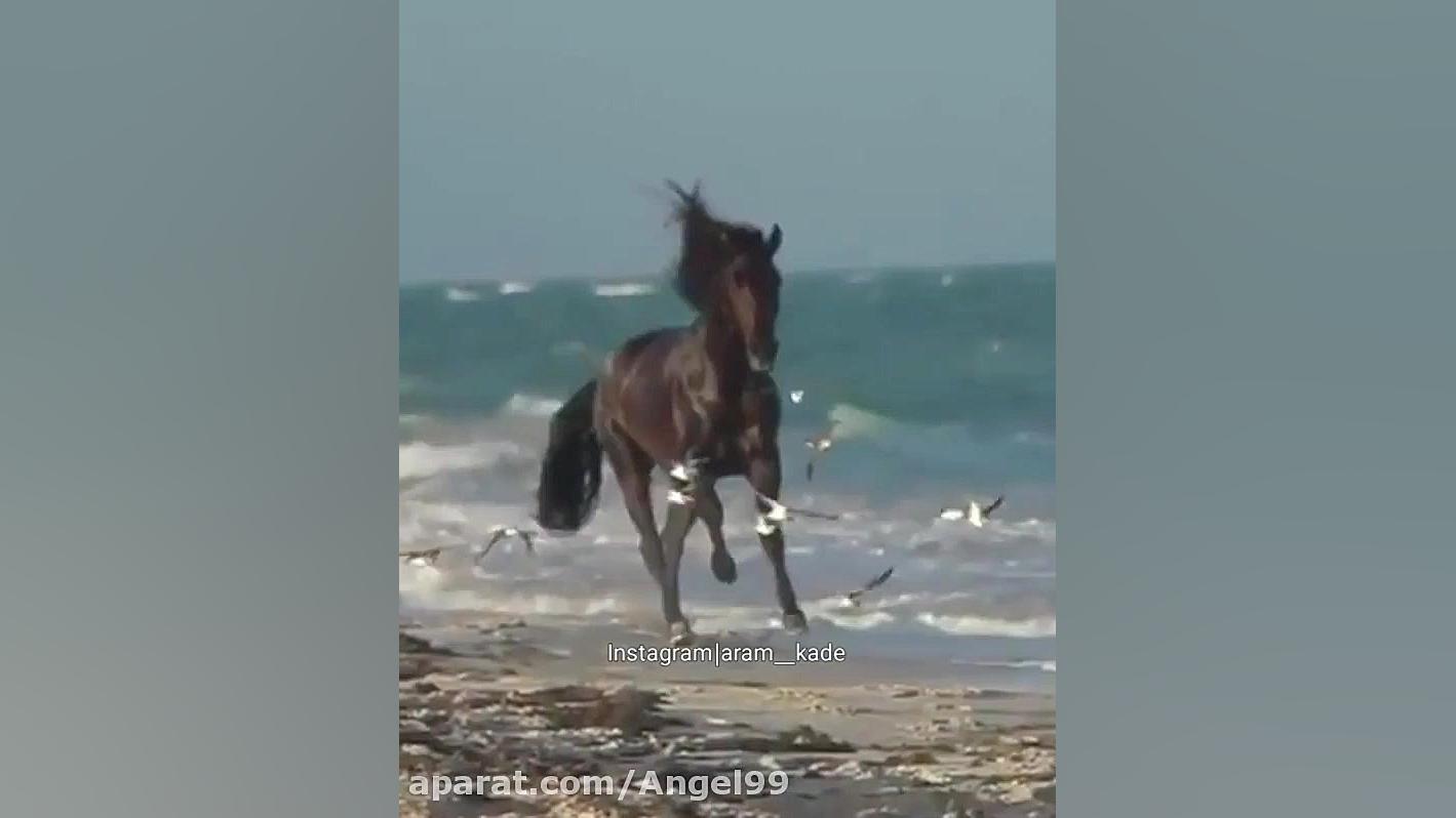 آهنگ لیلی مجنون  آهنگ متفاوت