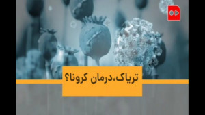 تریاک، درمان کرونا؟!