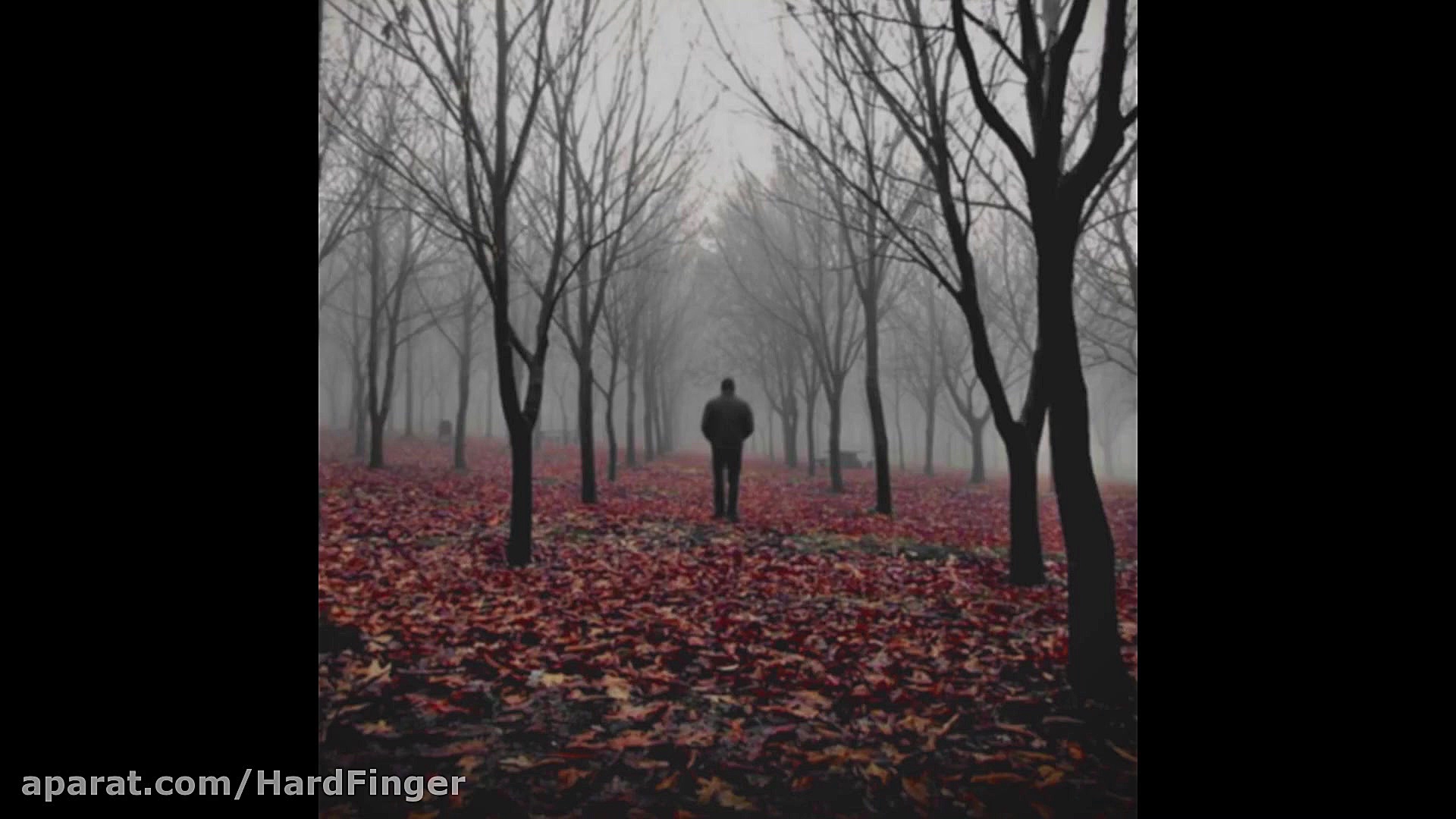 پاییز  عرفان سیاوشانی