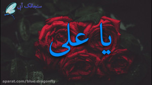 کلیپ تسلیت شهادت حضرت علی دکلم...