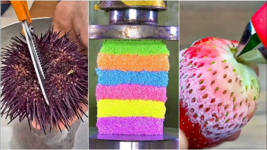 سرگرمی و تفریحی  هنری و خلاقیت...