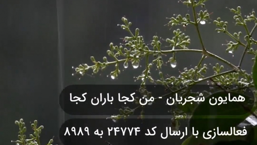 من کجا باران کجا همایون شجریان...