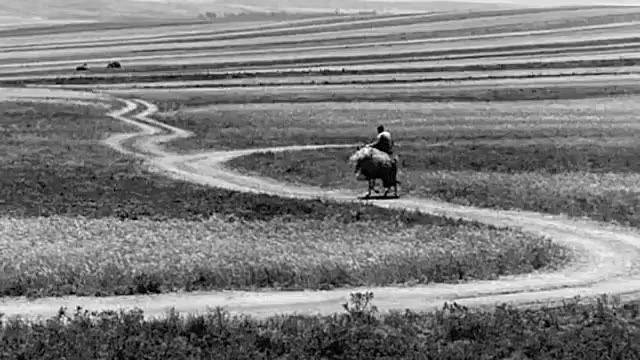 نجوا ، فرهاد مهراد