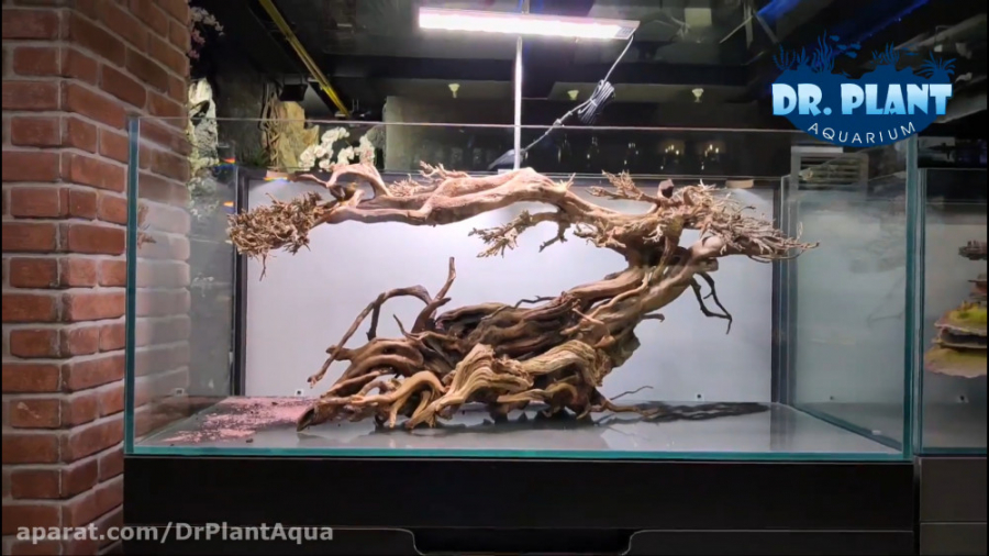 طراحی آکواریوم گیاهی در دکتر پ...