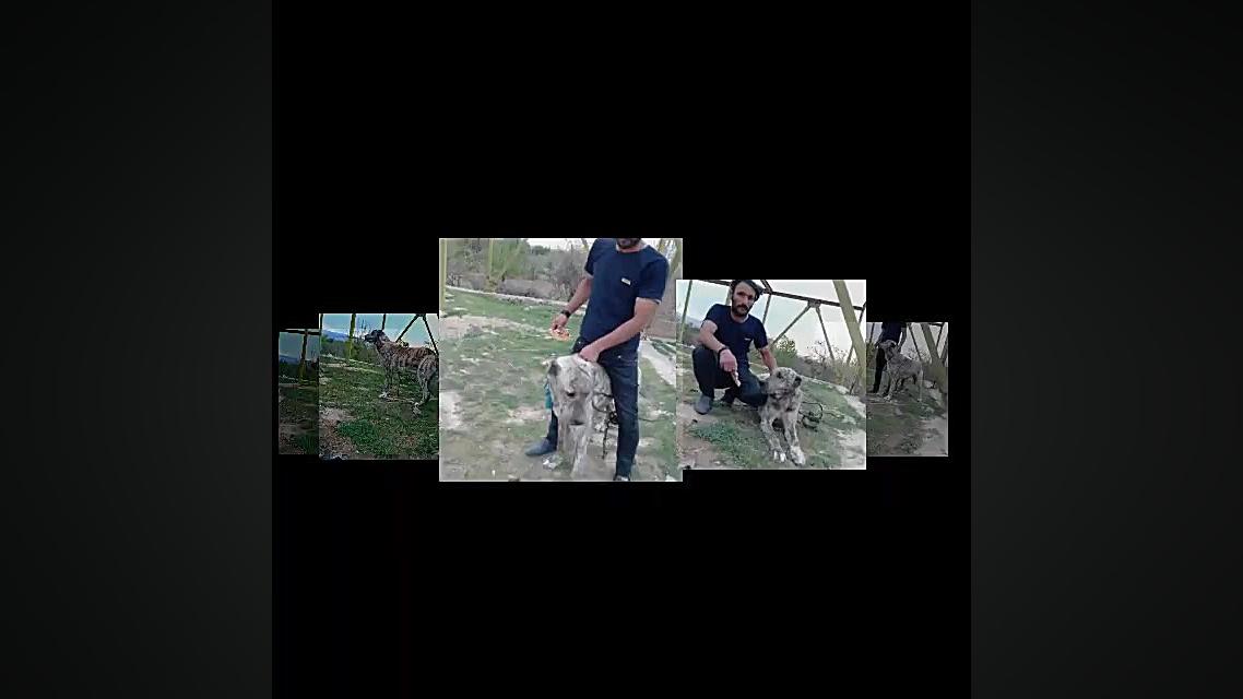 اسپارتاکوس قاتل