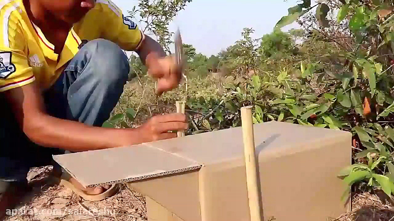 تله  اموزش تله پرنده