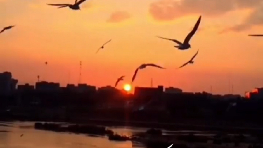 آهنگ زیبا آرام من