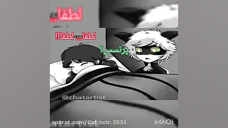 کمیک بامزه مریکتی