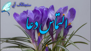 کلیپ شب قدر  دکلمه شعر شب قدر...
