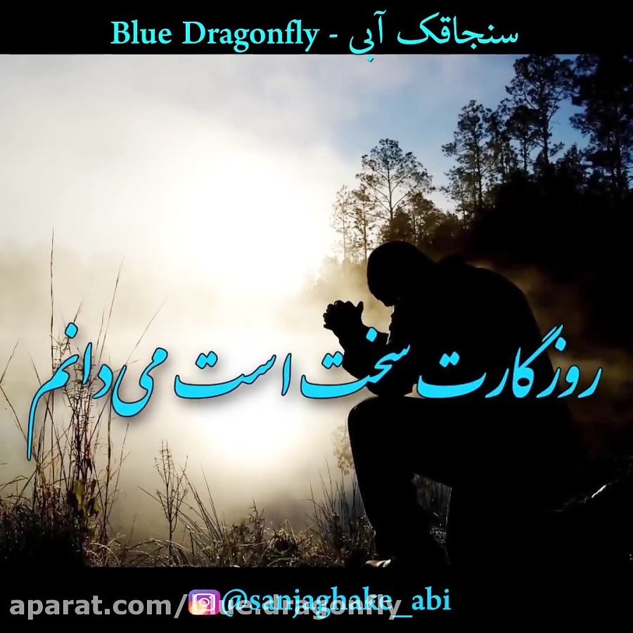 کلیپ شب قدر  استوری شب قدر  دل...