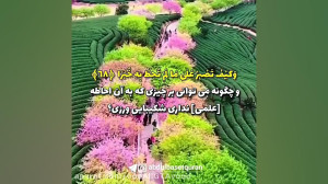 آرامش بخش ترین تلاوت عبدالباسط