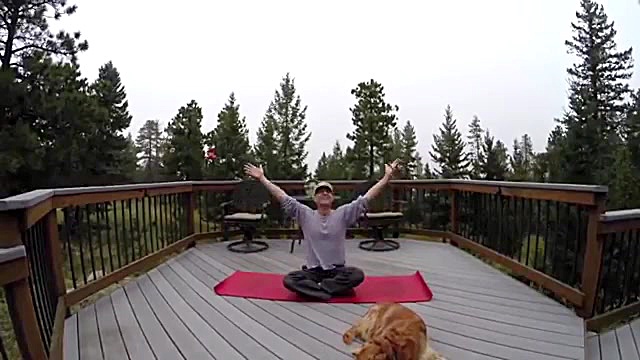 آموزش یوگا قدرت برای انعطاف پذ...