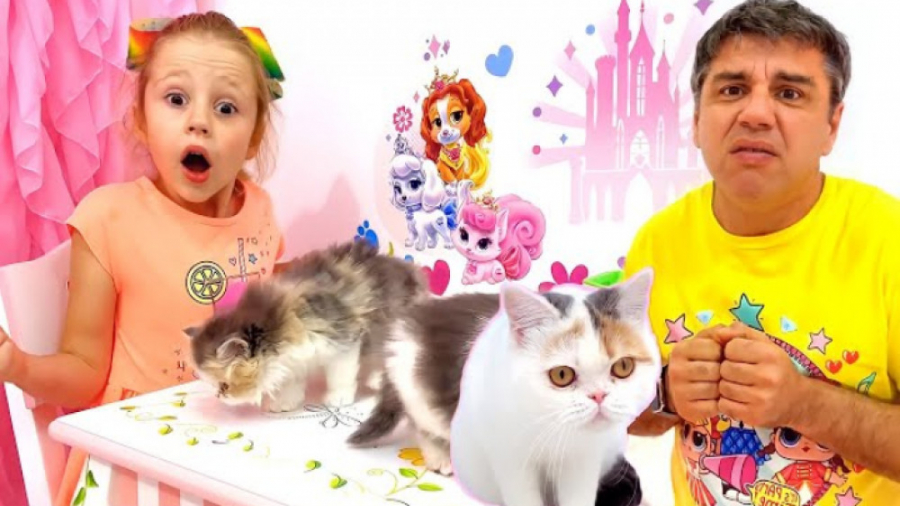 ناستیا استیسی جدید | ماجرای نا...