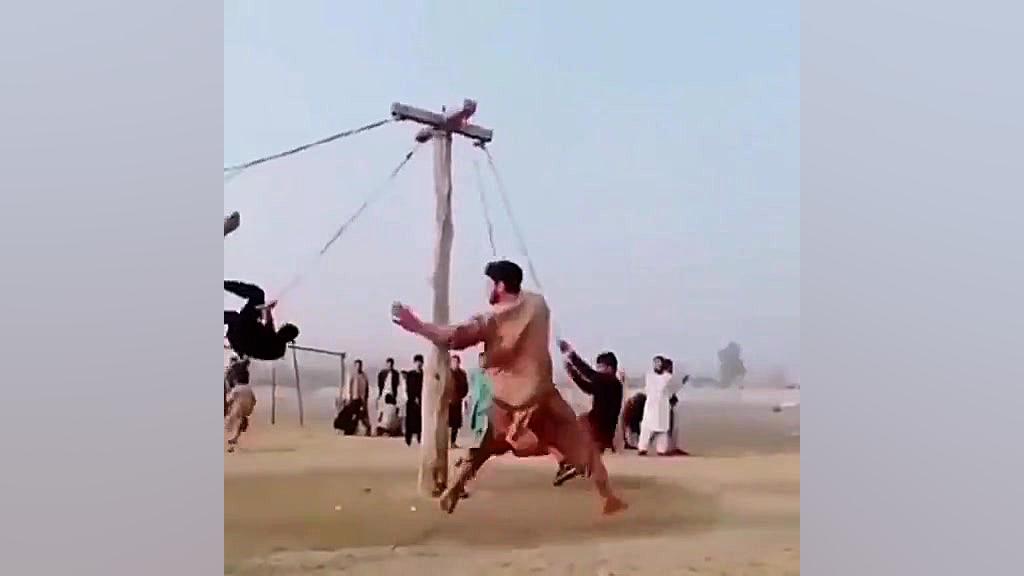 چرخ و فلک صحرایی را ببینید