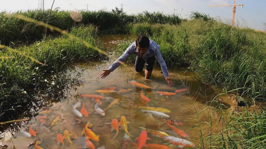صید انواع ماهی : ماهی قرمز ماه...