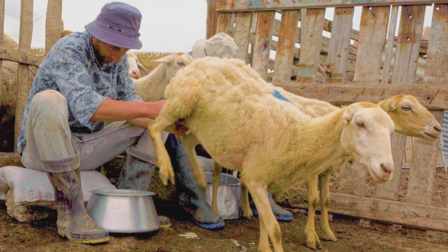 آشپزی ترکی  طرز تهیه غذای آذرب...