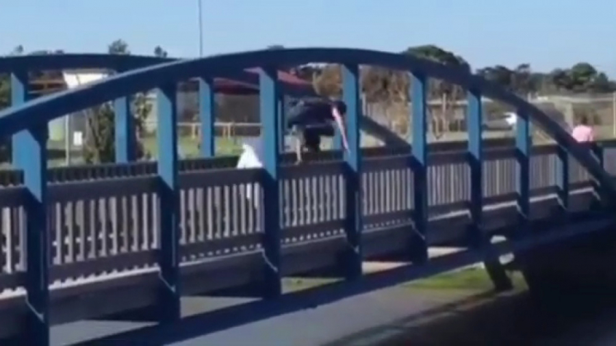 دوربین مخفی جدید خنده دار