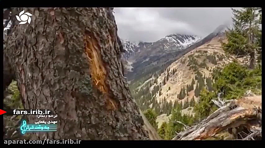 ترانه &quot; نگارا &quot; با ص...