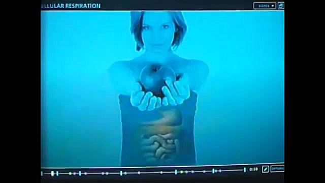 کنکور مشاوره مشاوره تحصیلی