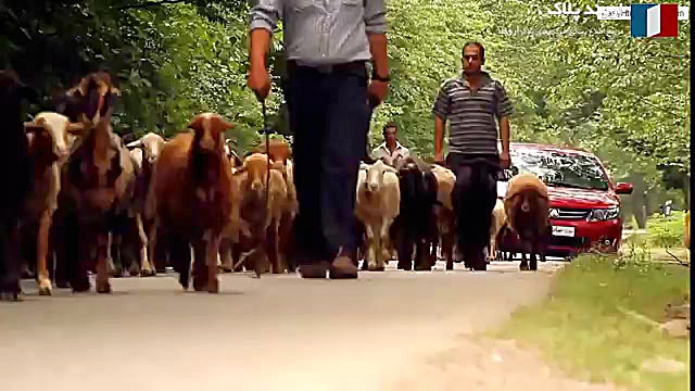 فیلم تبلیغاتی خودروی آریو محصو...