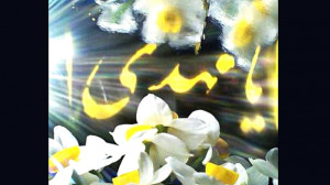 کلیپ کوتاه عاشقانه با آهنگ حجت...