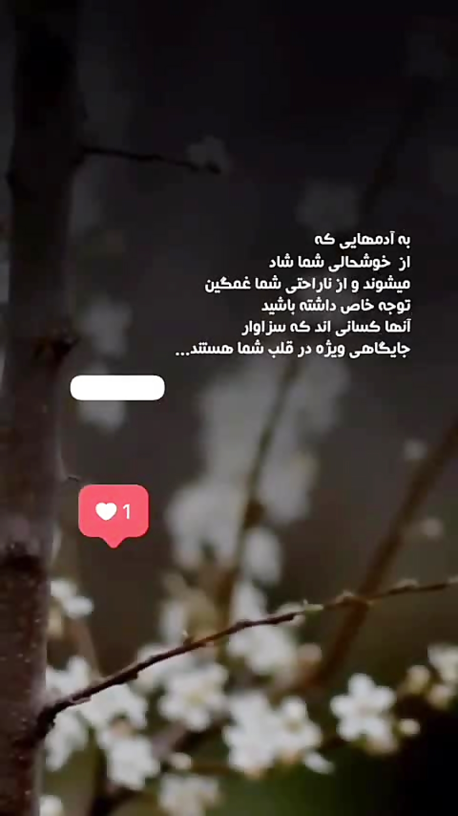 عاشقانه از ادا و سرکان