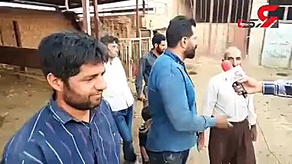 داستان گرگ ومیش