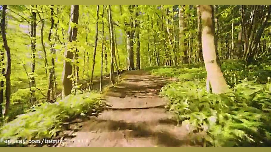 خدا... به همراه طبیعت زیبا