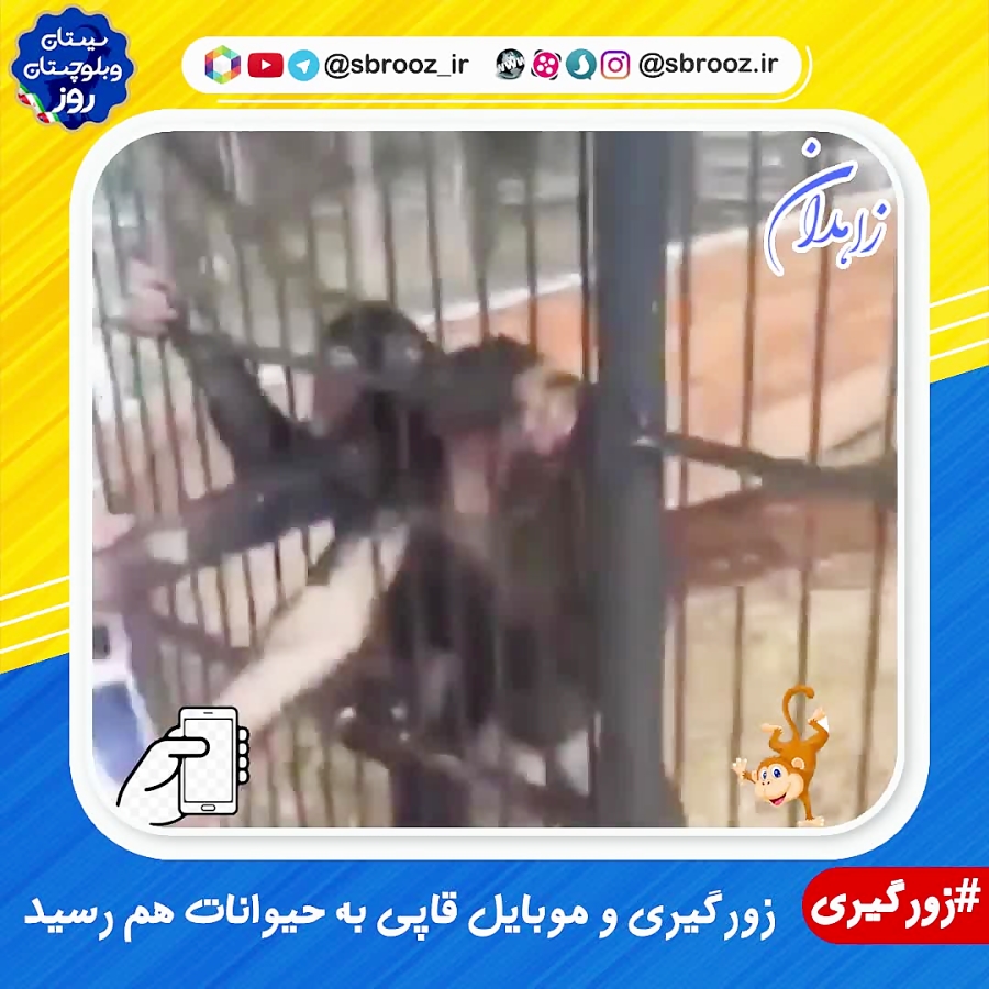 زورگیری و موبایل قاپی به حیوان...