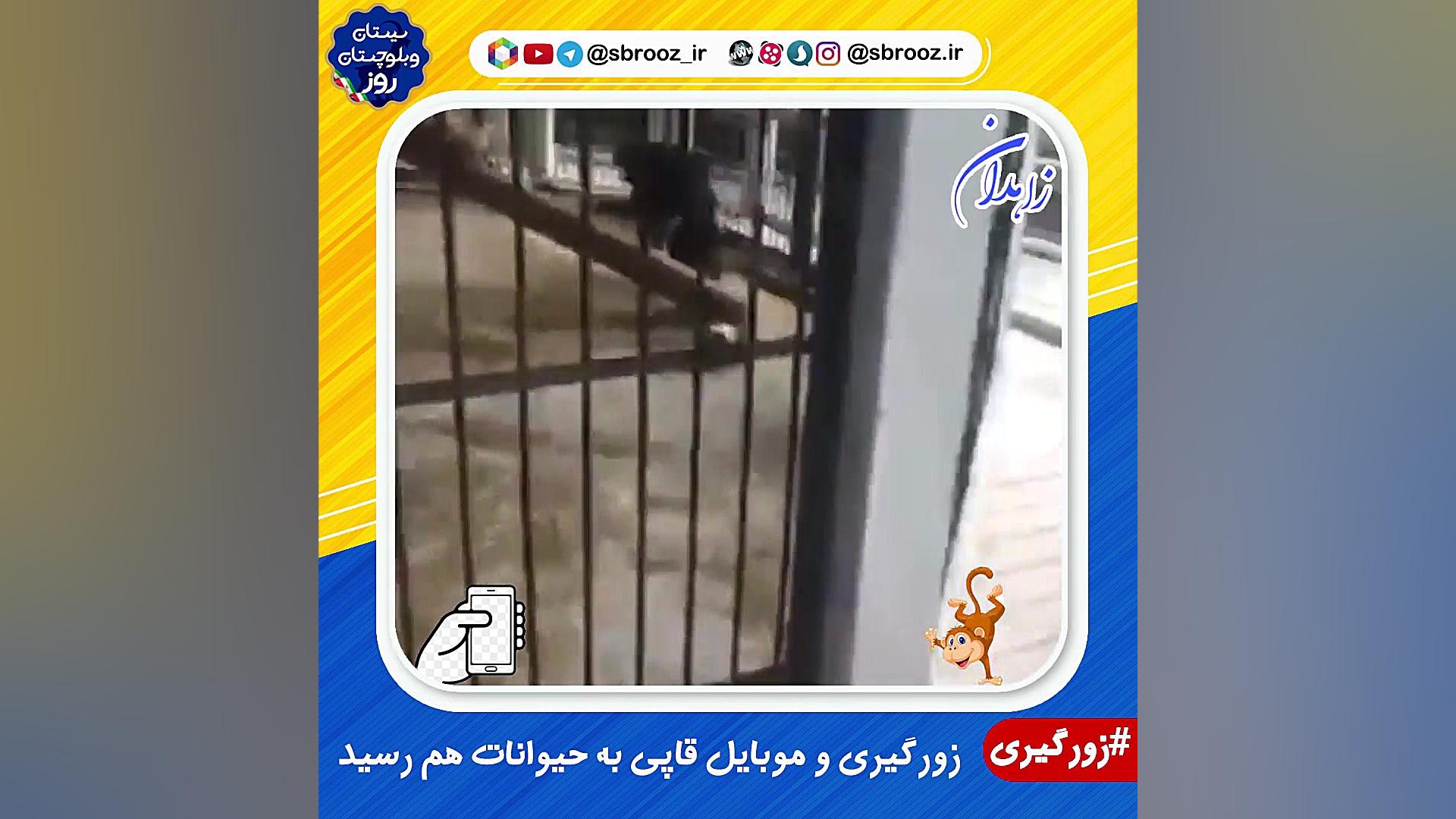 زورگیری و موبایل قاپی به حیوان...