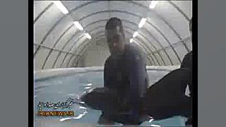 درمان دولفین آسیب دیده در آمری...