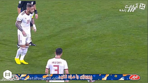 گل های ایران به یمن