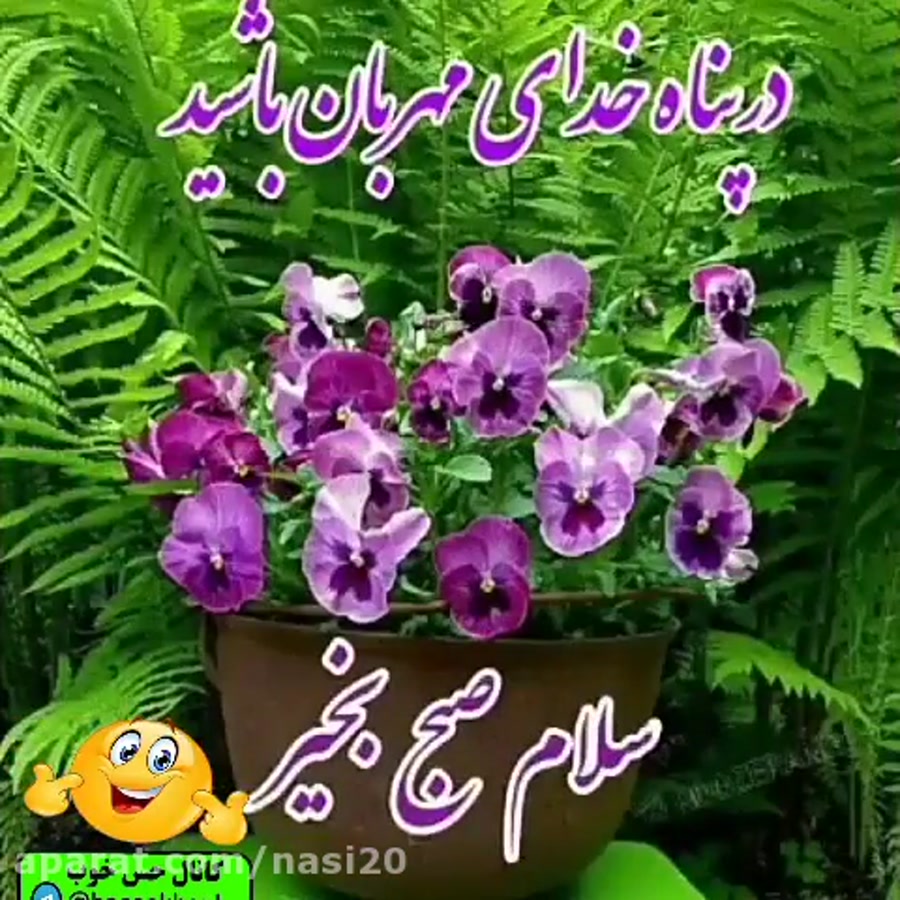 کلیپ سلام صبح بخیر — free download