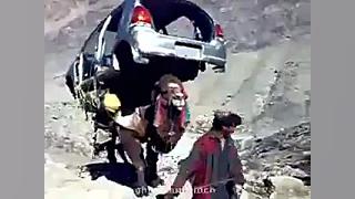 باربری شتر ها