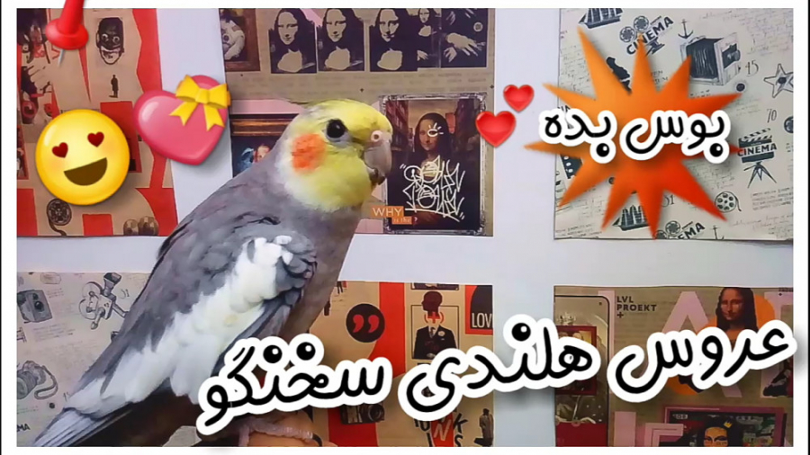 حرف زدن عروس هلندی بانمک :: عر...