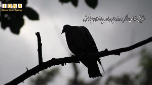 خدایا این وداع من از ماه رمضان...