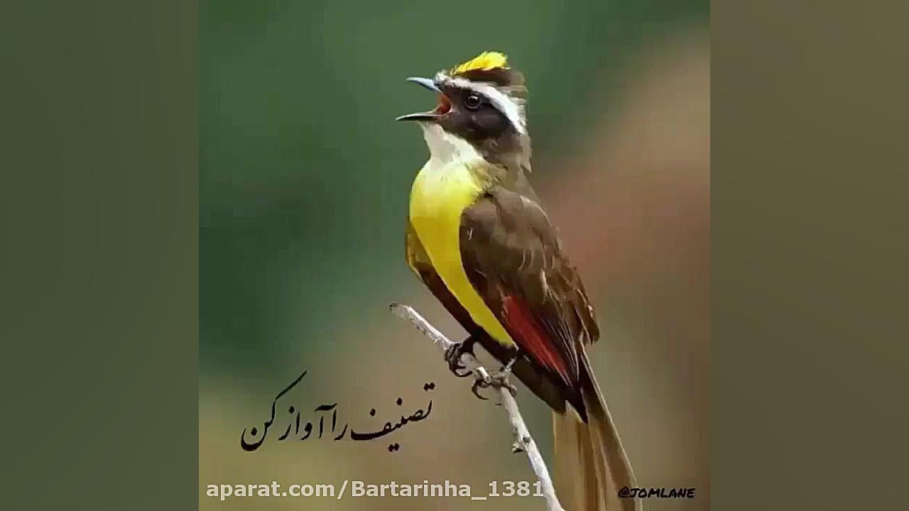 کلیپ عید سعید فطر  دکلمه عید س...