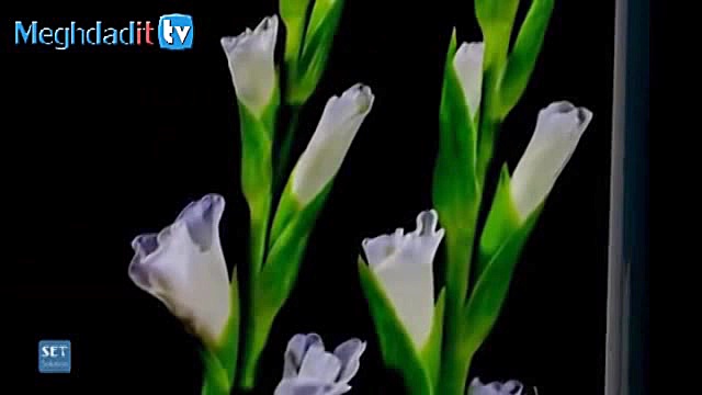 طرح مفهومی گوشی آیفون ۶C